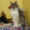 Отзыв от Инна Лаптева